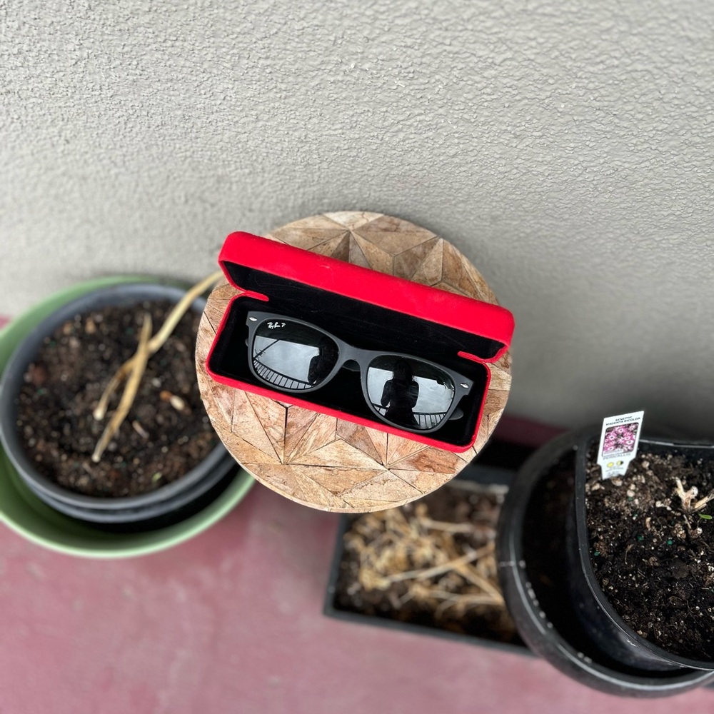 Ray-Ban Black Sunglasses with Bold Red Case